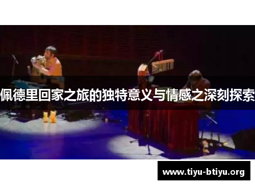 佩德里回家之旅的独特意义与情感之深刻探索
