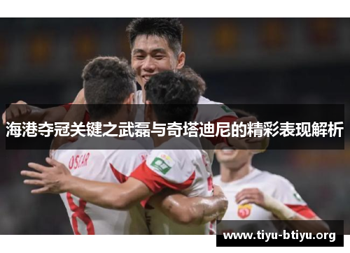 海港夺冠关键之武磊与奇塔迪尼的精彩表现解析