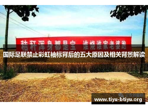 国际足联禁止彩虹袖标背后的五大原因及相关背景解读