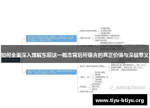 如何全面深入理解东超这一概念背后所蕴含的真正价值与深层意义